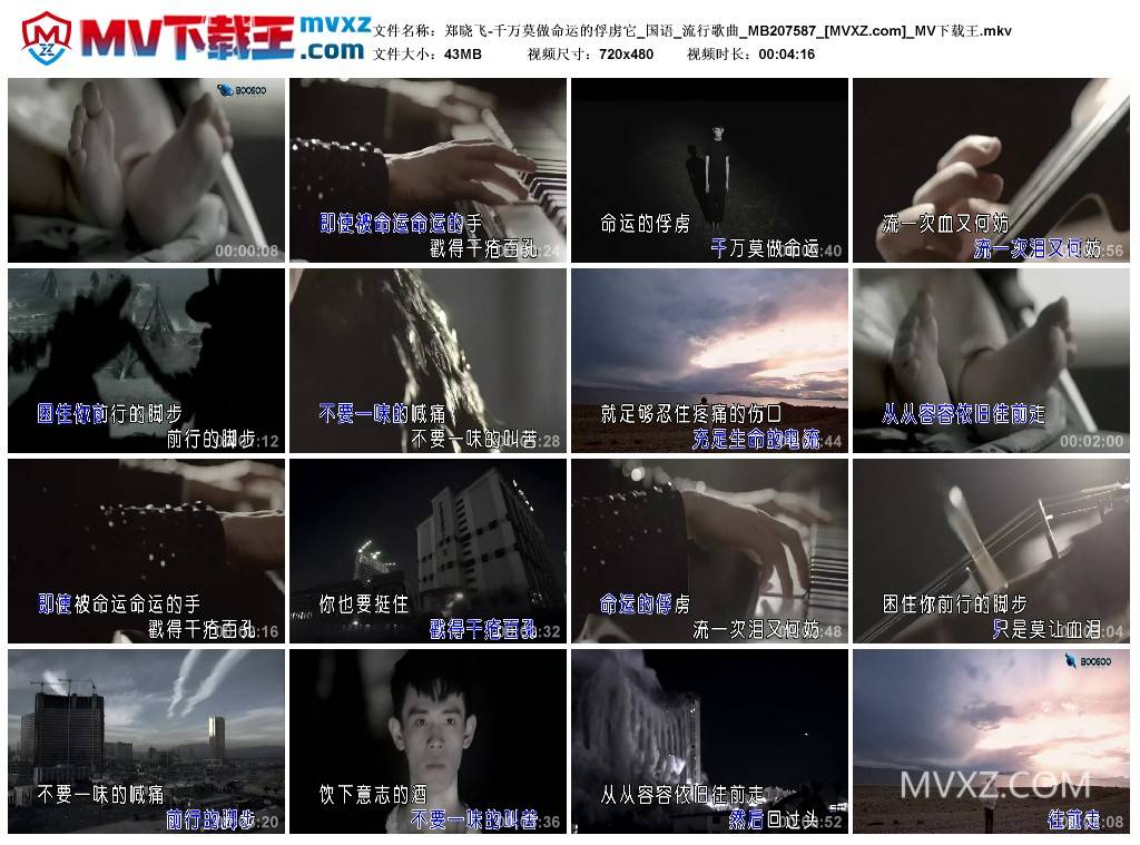 郑晓飞-千万莫做命运的俘虏它_国语_流行歌曲_MB207587